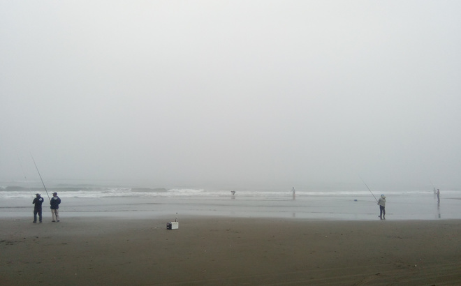 img20221201165144183735.jpg