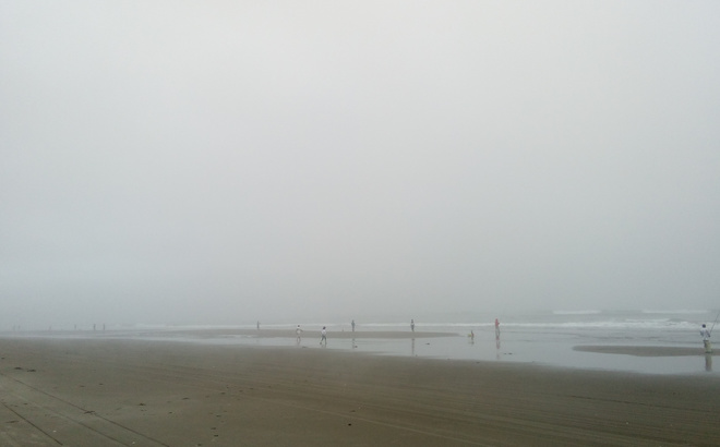 img20221201165144164032.jpg