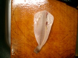 拙者の投げ釣り 捌きの基本 拙者の投げ釣り 捌きの基本