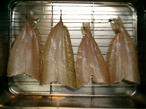 拙者の投げ釣り 捌きの基本 拙者の投げ釣り 捌きの基本