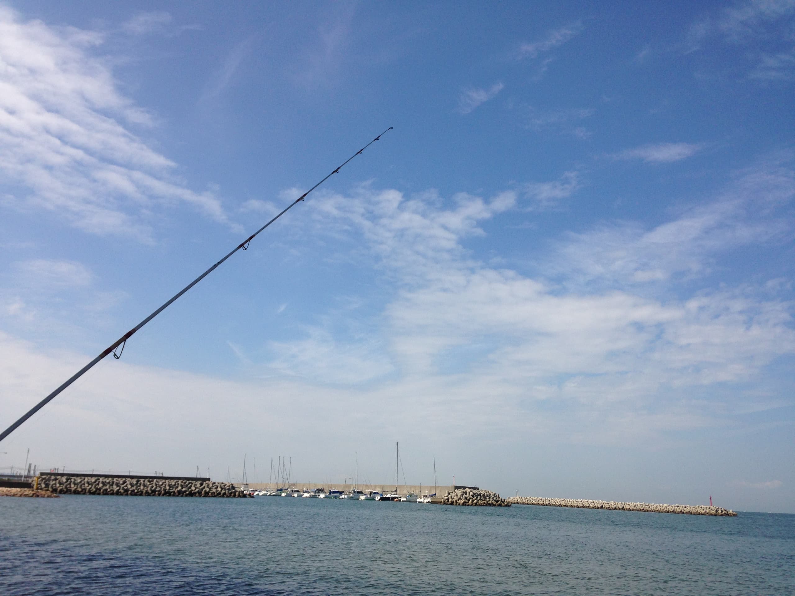 img_7719.jpg