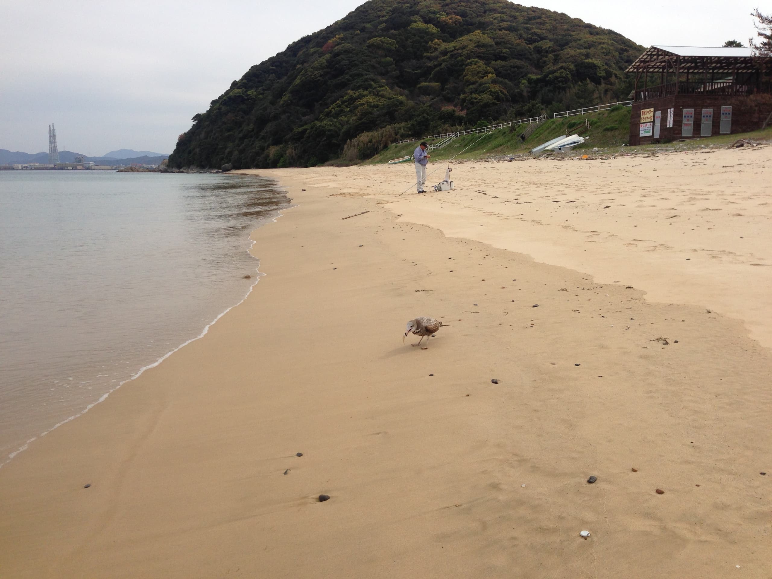 img_6240.jpg