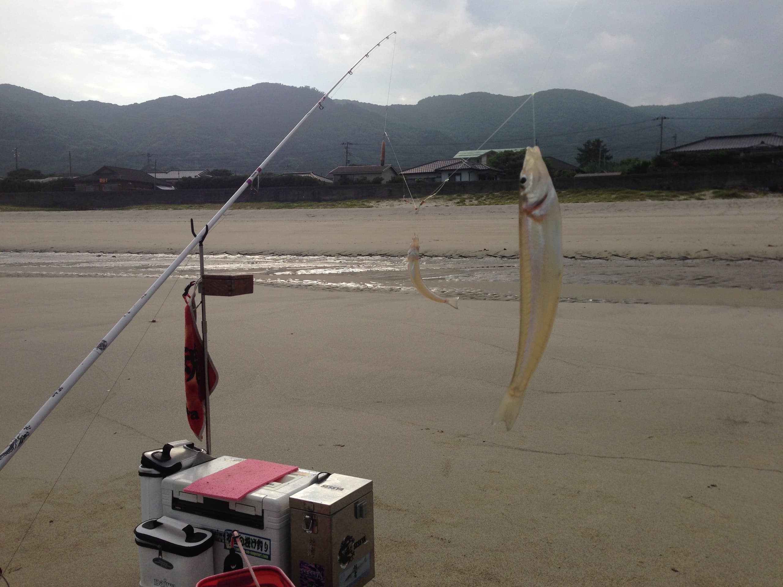 img_6729.jpg