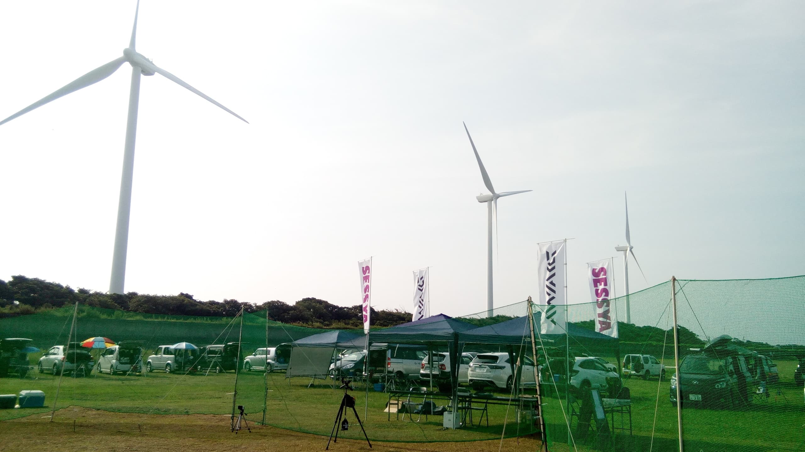 img20260521214123451299.jpg
