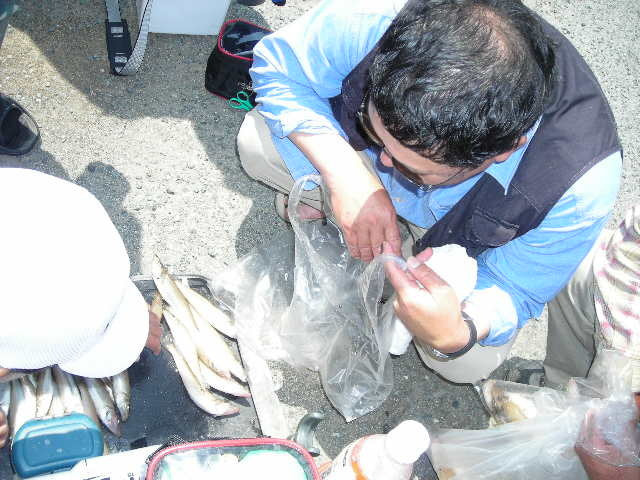 04.jpg