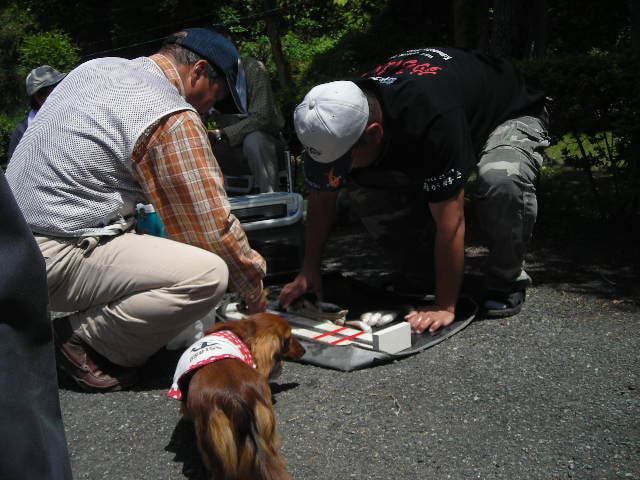 dscn0542.jpg