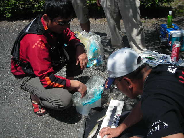 dscn0539.jpg
