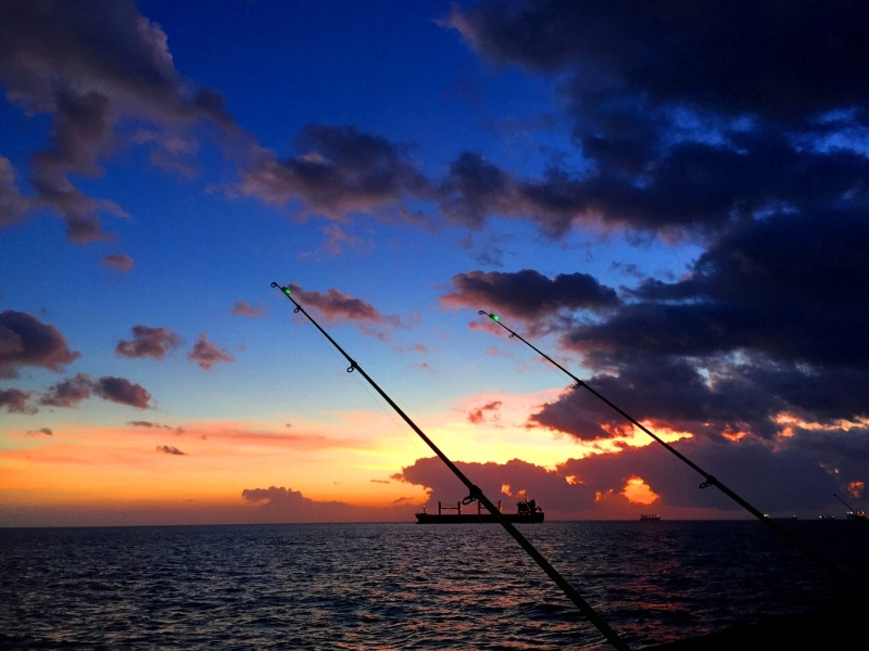 拙者の投げ釣り フォトギャラリー 16年度 拙者の投げ釣り フォトギャラリー 16年度