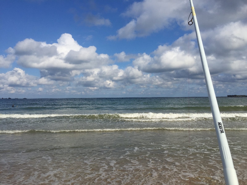 拙者の投げ釣り フォトギャラリー 16年度 拙者の投げ釣り フォトギャラリー 16年度